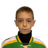 Шибаев Никита