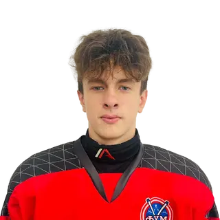 Шевчук Дмитрий Сергеевич