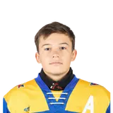 Прижелудский Артем