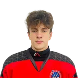 Шевчук Дмитрий