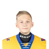 Никулин Михаил