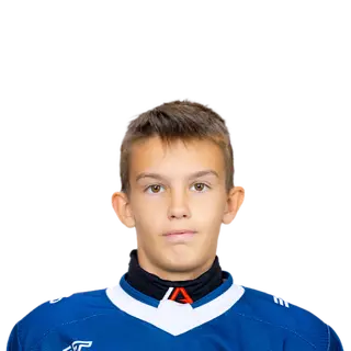 Степин Илья Сергеевич