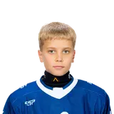 Лесников Михаил