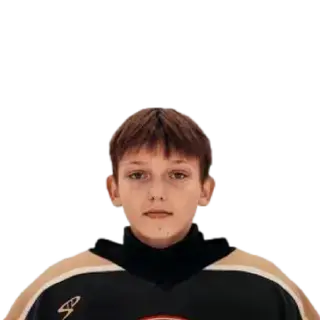 Колесников Вадим Артемович