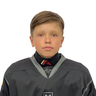 Ликаревич Александр Александрович