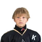 Даричев Роман