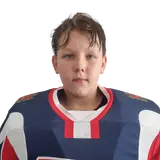 Шипицин Давид