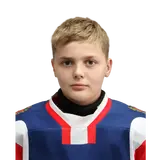 Воронков Игорь