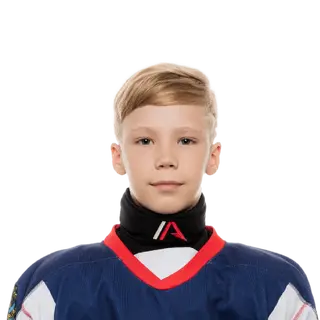Мезин Илья Павлович