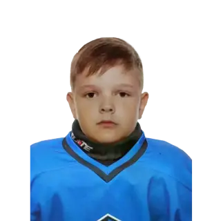 Готовченко Илья Сергеевич