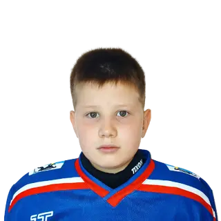 Владимиров Илья Евгеньевич