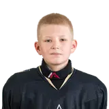 Медведев Никита