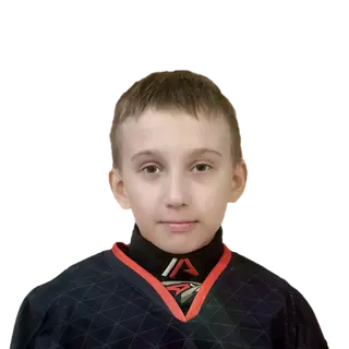 Шестаков Давид Сергеевич