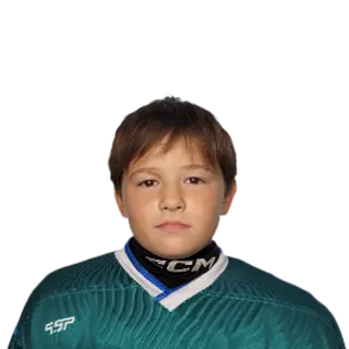 Дмитриев Матвей