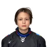 Рыков Лев