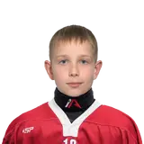 Аверин Максим