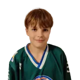 Бродников Илья