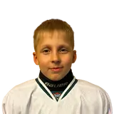 Соломин Михаил Денисович