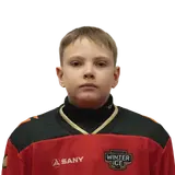 Цыганков Илья