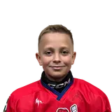 Злобин Роман
