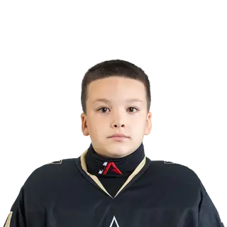 Мельников Алексей Олегович