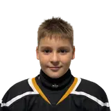 Шершнев Кирилл