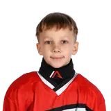 Мезенцев Макар