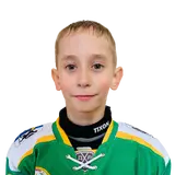 Куликов Артем