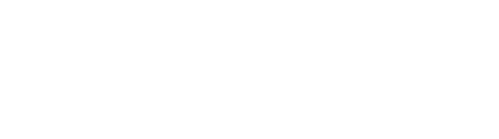 FastLife