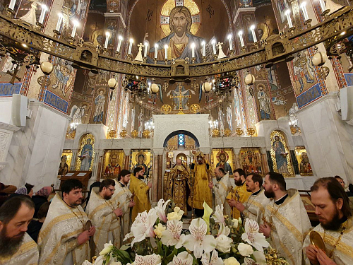 Божественная литургия в Покровском храме в Неделю 33-ю по Пятидесятнице, о Закхее.