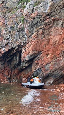 BRP Sea-Doo RXT255