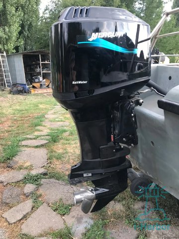 Mercury 250 EFI