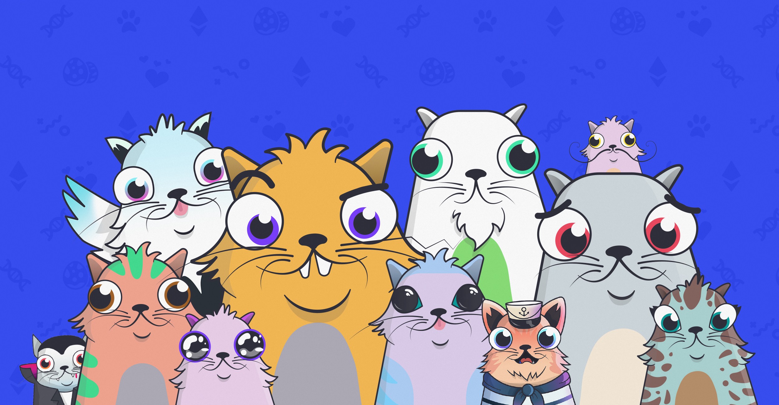 kitties