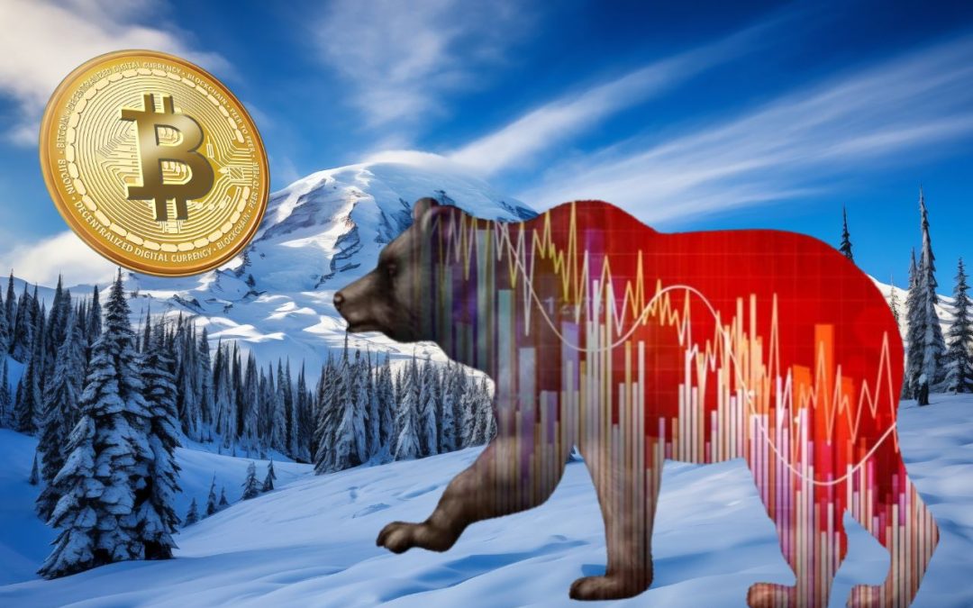 Что такое криптозима? // Источник: Trade Brains