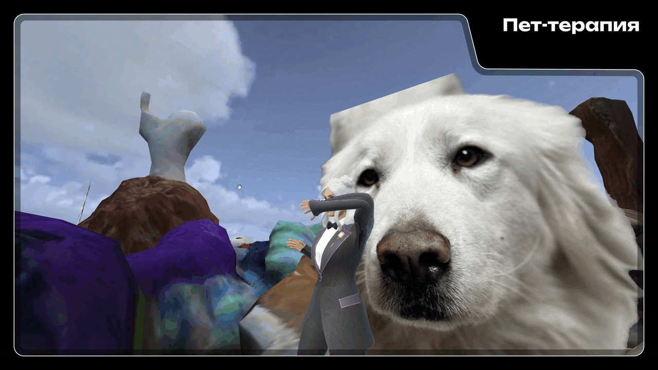 gif_pet-terapiya_1