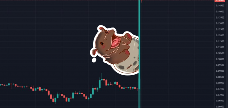 Мемкойн Solana Moo Deng (MOODENG) взлетел на 110% благодаря Binance. Надолго ли?