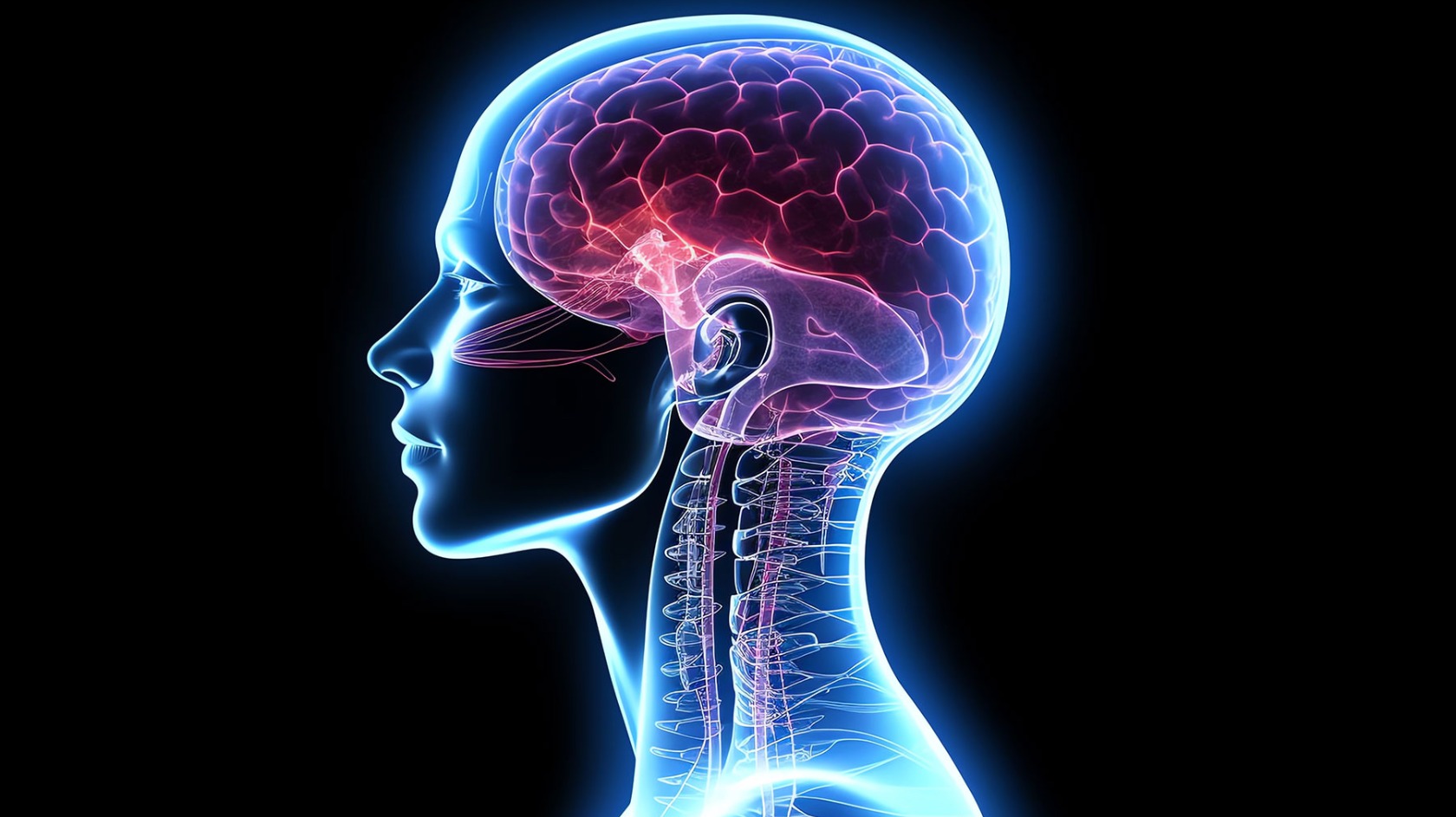 the-effects-of-cocaine-on-the-brain