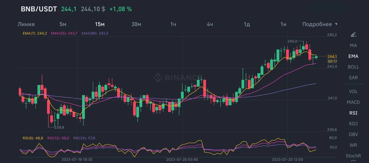 График стоимости BNB на 20.07.2023