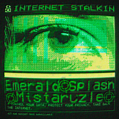 internet stalkin