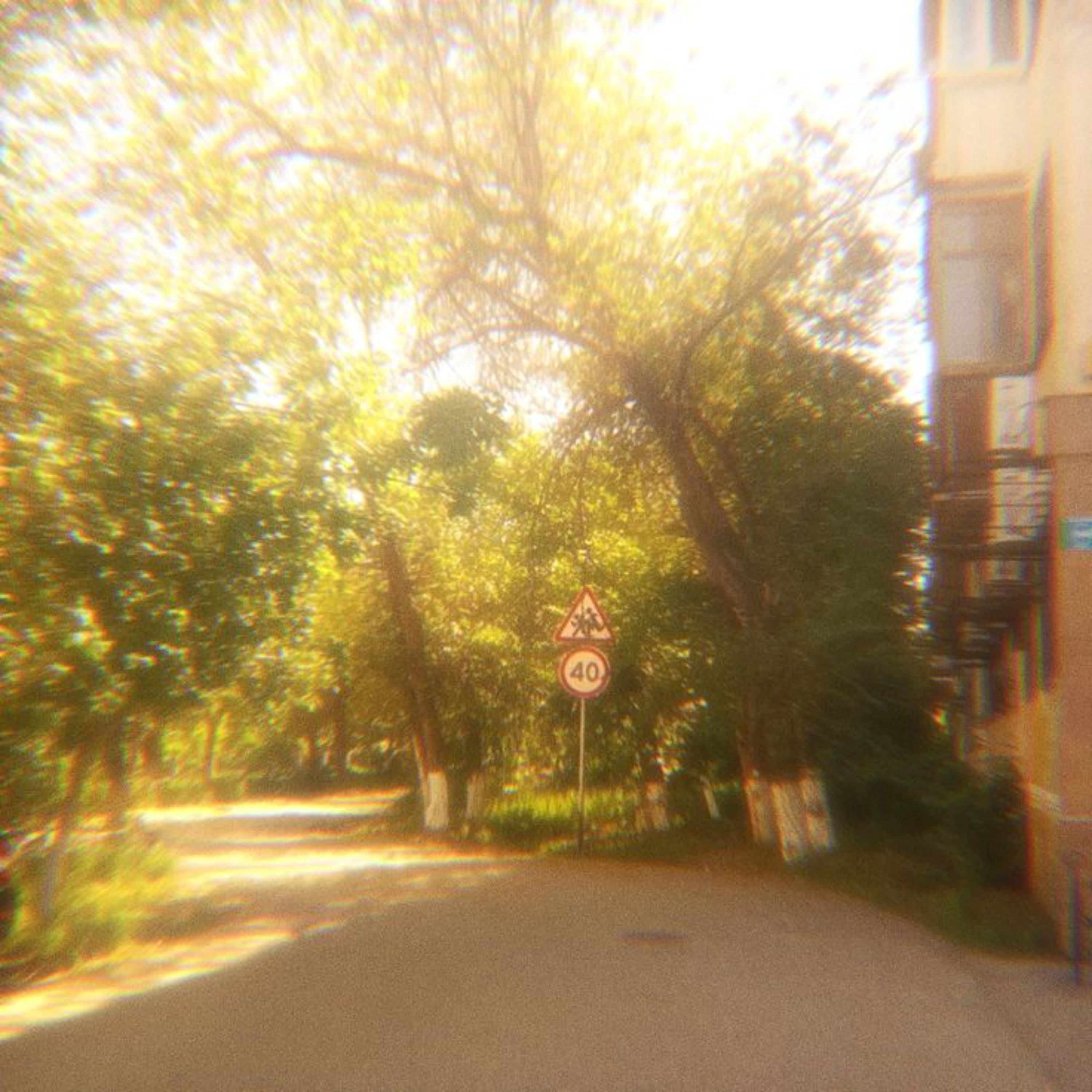 6 AM