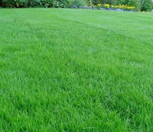 Касильщик травы