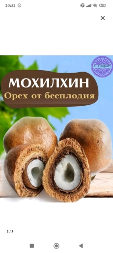 Мохилхин орехи от бесплодия