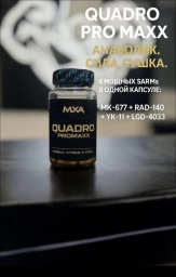 Quadro Pro Maxx