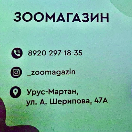 Волнистый попугай