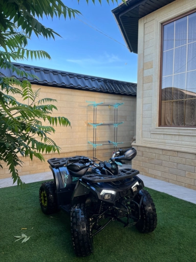 Shark  125