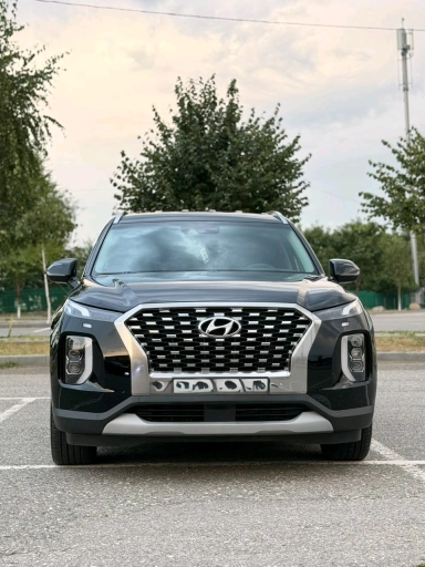 Hyundai Palisade, 2, 80000км