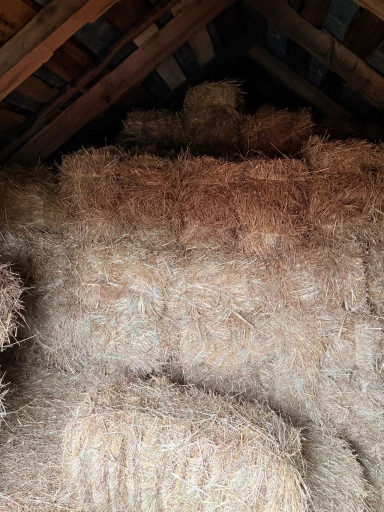 Сено в тюках разнотрав