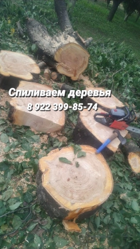 Спиливаем деревья