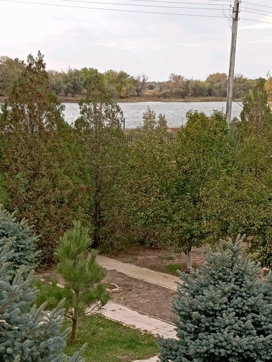 Дом, 110 м², Поселения (ИЖС), 20 сот