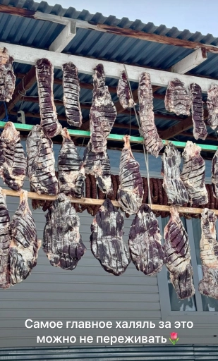 Сушёное мясо с гор